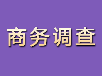 盐山商务调查